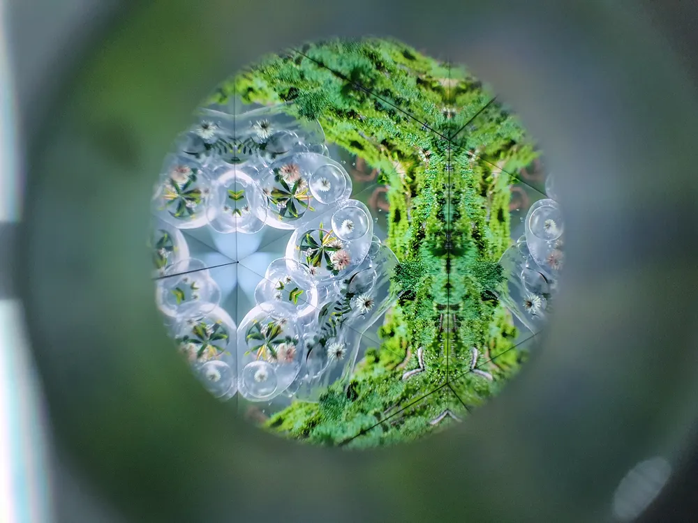 FLASH 025S RECOLLECTION 01 EXHIBITION