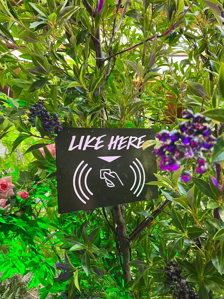 TWISTED TWENTY OF LUSH KOREA — Image 10