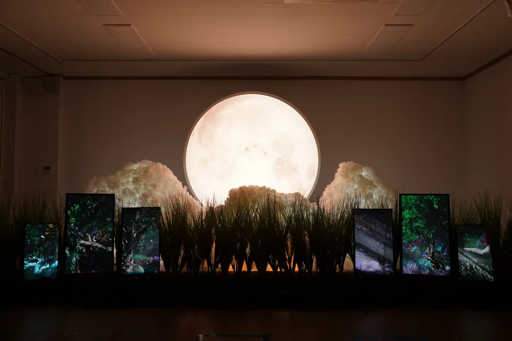 부산 문화예술 페스티벌 유기농 갤러리